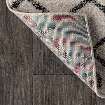 Aksil Moroccan Beni Souk Area Rug